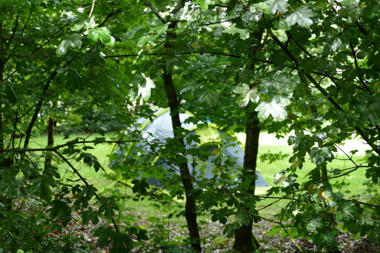 Camping Alkenhaer Appelscha Lege Kampeerplaats Exteriör bild