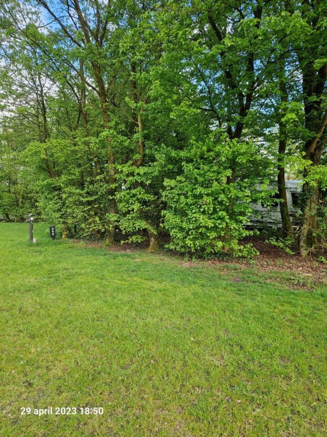 Camping Alkenhaer Appelscha Lege Kampeerplaats Exteriör bild